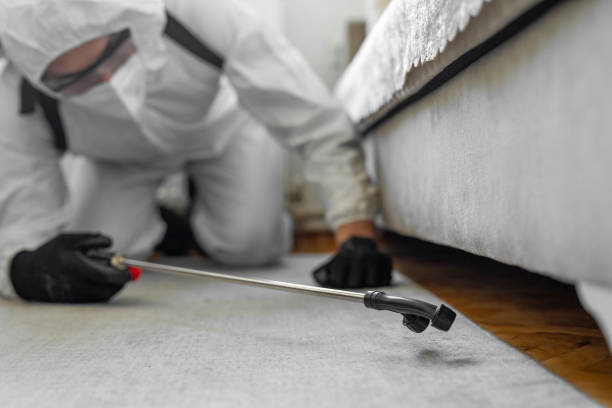 Professional Cockroach Control technician working in Warrenton, OR